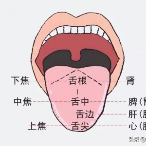 为什么看中医的时候，医生都会让你伸出舌头？
