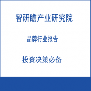 2022-2028年中国皮革行业投资分析及前景预测报告