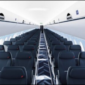 皮革在飞机内饰和座椅中发挥着越来越重要的作用