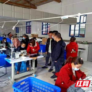 邵东市魏家桥：倾力打造箱包产业加工基地和乡村振兴产业示范点