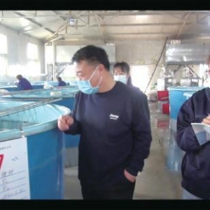 天津观赏鱼产业带动了相关产业链发展，都市型休闲观赏渔业正在长大壮大——多彩观赏鱼涌动财富潮