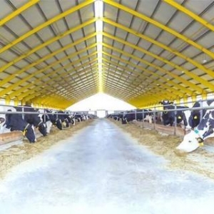 潍坊：创新“金融助农”模式 为现代畜牧业高质量发展引入“资金活水”