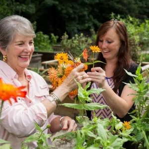 新研究发现园艺可以改善你的精神健康