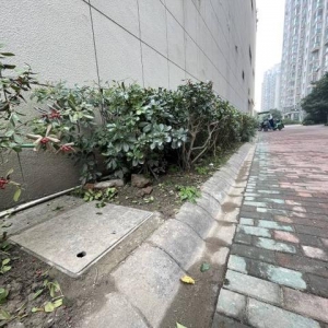 记者帮｜杭州一小区污水外溢，业主“忍臭”投诉：12年了，啥时能解决？