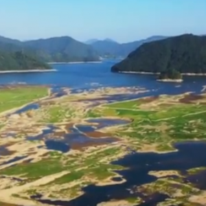 旱情持续：台州玉环市错峰供水，三门县部分区域限时供水