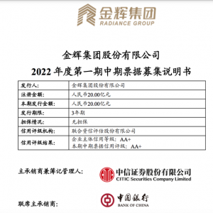 金辉集团注册发行20亿元中票：用于项目建设、购回及偿还债务