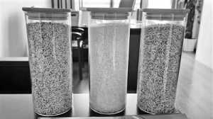什么是“种子”？什么是“稻种”？为何同样种子种出的产品，有些就是假冒伪劣？