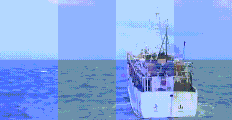今起公海休渔，舟山近400艘渔船参与→