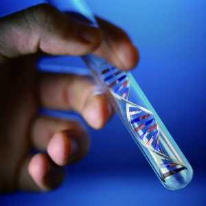DNA鉴定是最精准的生物识别技术吗？