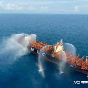 能装1.6万个标准集装箱，华南建造最大集装箱船命名交付