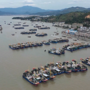 应对“杜苏芮” 浙江温州2230艘渔船归港避风