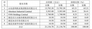 晨鸣纸业“甩包袱”：4.8亿出售武汉晨鸣65.21%股权，为何估值低于政府收储价？