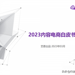 2023年内容电商白皮书（发展现状、兴趣趋势、营销洞察及启示）