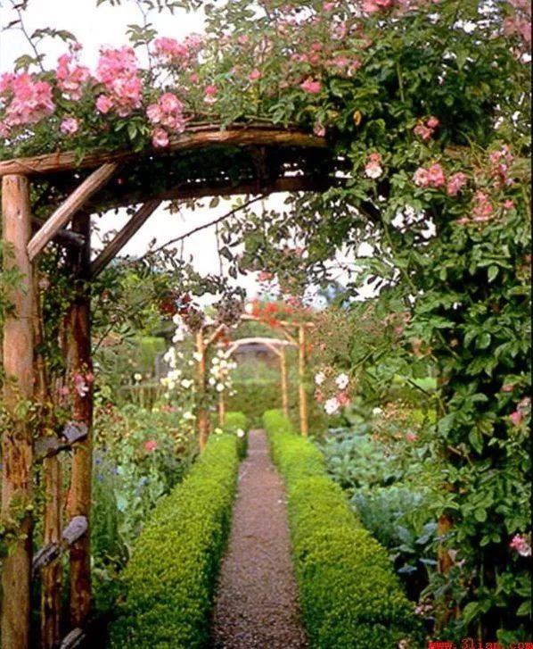 园艺，让庭院更美