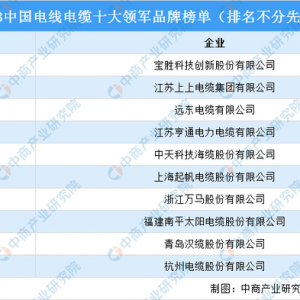 2023中国电线电缆十大领军品牌榜单
