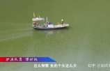 长江的“预兆”：万州水域出现大量鱼群，三峡水库成为“鱼库 ... ...