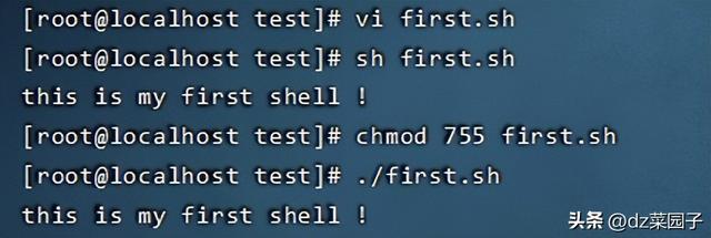 linux下的shell剧本编程先容