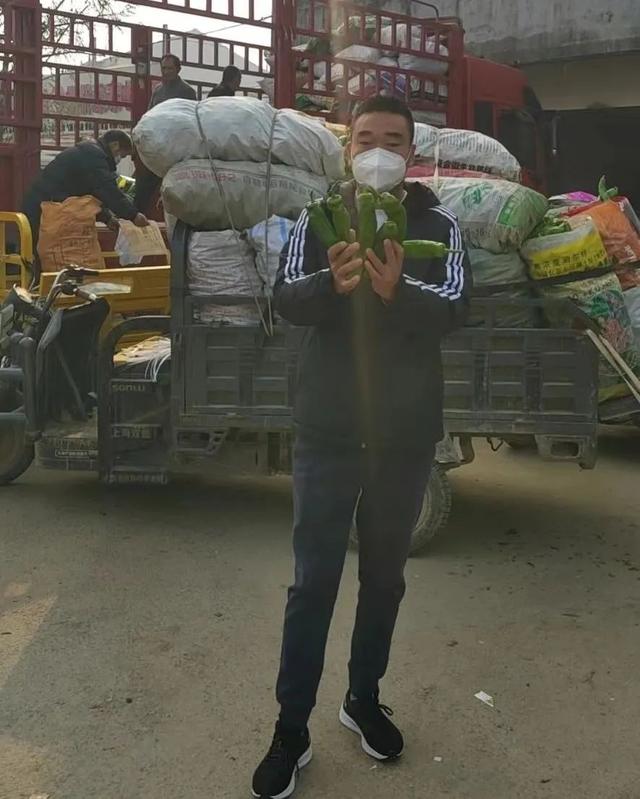 20年一遇的滞销，安徽砀山代庖月销蔬菜1000吨免收代庖费助农卖货