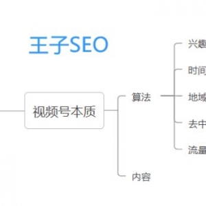 王子SEO：视频号SEO，关于视频号的几个重要SEO算法