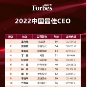 2022中国最佳CEO-王传福