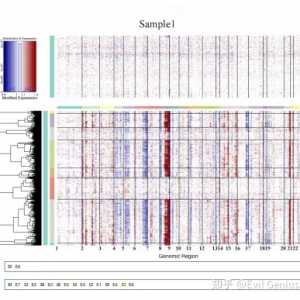 单细胞空间数据分析之CNV进化树