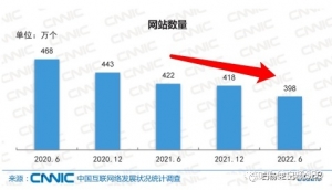 2023年CNNIC第51次《中国互联网络发展状况统计报告 ...