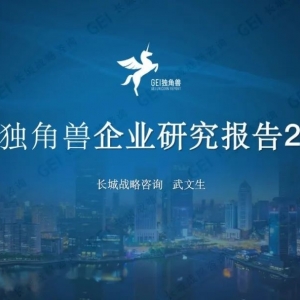 中国独角兽企业研究报告2022（附下载）