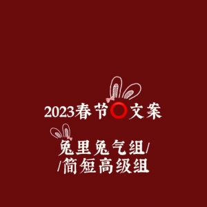2023适合新年春节发朋友圈兔年文案（新年祝福语文案）