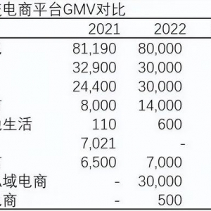 2022年中国前10电商GMV总结