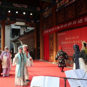 “文化传承名家谈”系列之一：走出去！让中国戏曲惊艳世界