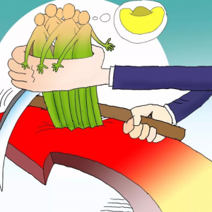 加盟骗局大揭秘！教你如何识别和避免被收割韭菜！