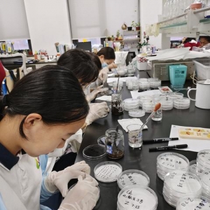 副教授带队、进入高校实验室，北京中学生近距离探索农业科学奥秘
